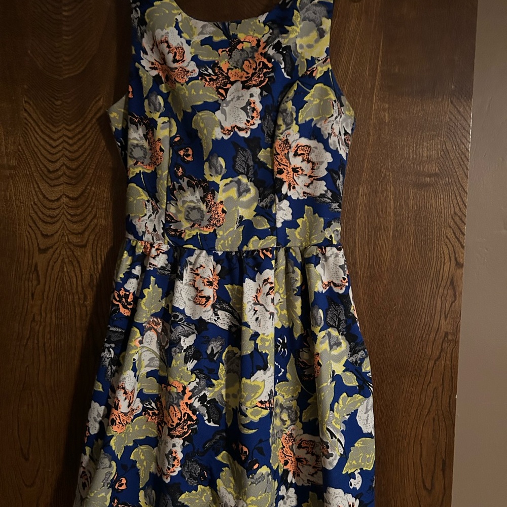 Dainty Hooligan Blue and White A-line Midi Dress
